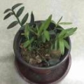 社区用户1043